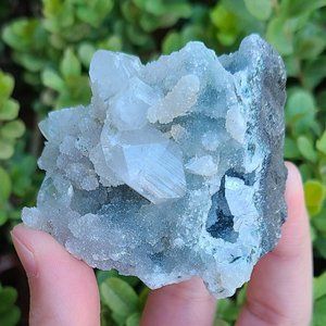 Apophyllite cluster